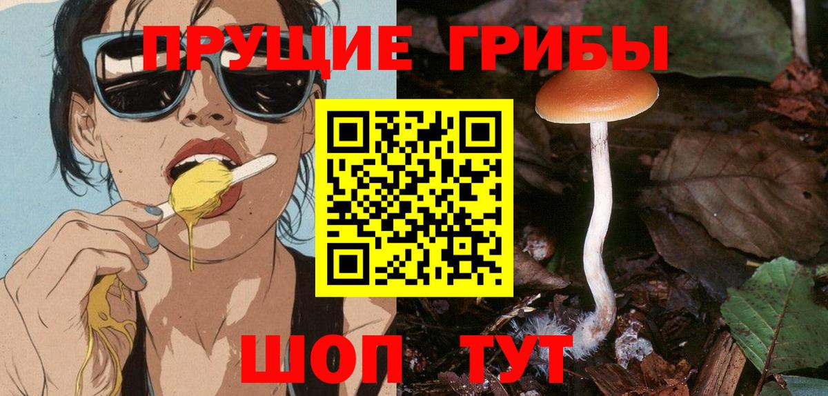 Галлюциногенные грибы ЛСД Владикавказ