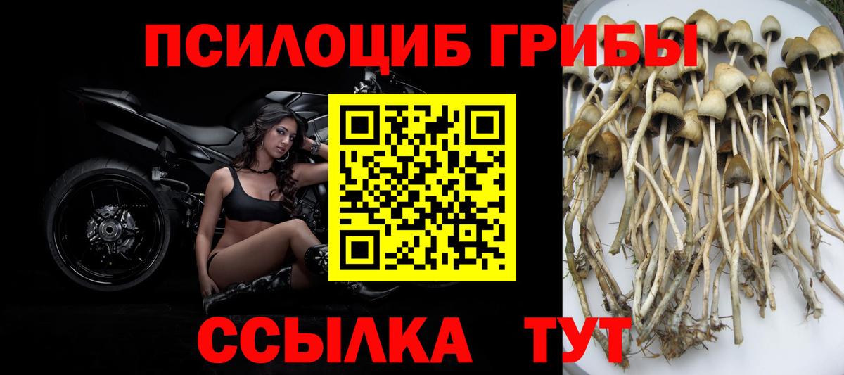 Галлюциногенные грибы мухоморы  Вход с VPN  Владикавказ 